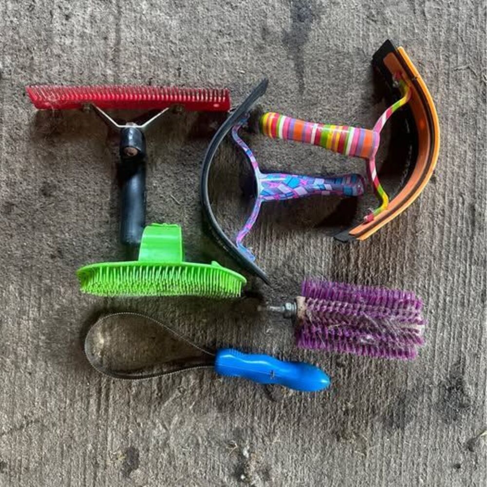 (6) Cattle Show Grooming Bundle - Includes Drill-Mounted Roto Brush!